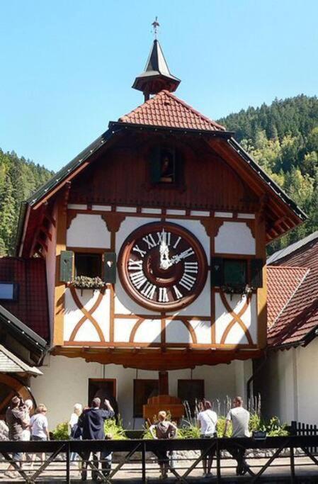 Two-Bedroom Apartment Near Triberg Waterfall Triberg im Schwarzwald Ngoại thất bức ảnh